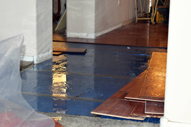 Professional Water Damage Restoration technician working in Kearney, MO